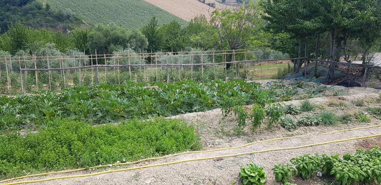 Agriturismo Fiore Di Campo Fermo Luaran gambar